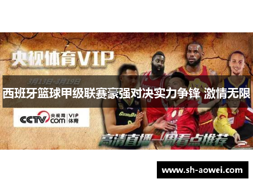 西班牙篮球甲级联赛豪强对决实力争锋 激情无限