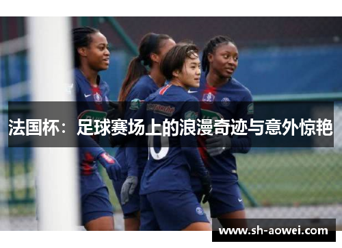法国杯：足球赛场上的浪漫奇迹与意外惊艳