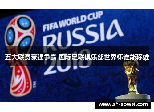 五大联赛豪强争霸 国际足联俱乐部世界杯谁能称雄