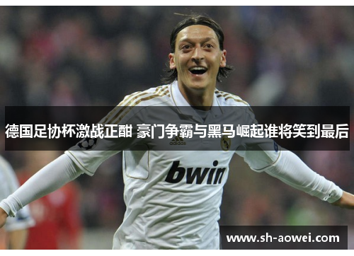 德国足协杯激战正酣 豪门争霸与黑马崛起谁将笑到最后