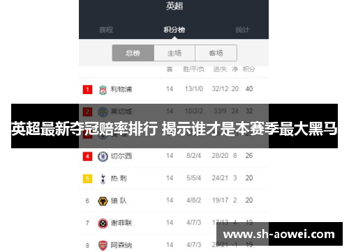 英超最新夺冠赔率排行 揭示谁才是本赛季最大黑马